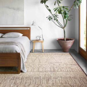 Loloi rug | Hadinger Flooring