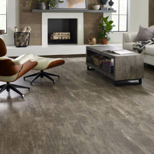 Paramount vinyl flooring | Hadinger Flooring