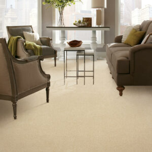 Carpet Flooring | Hadinger Flooring
