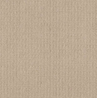 Shaw-Carpet | Hadinger Flooring