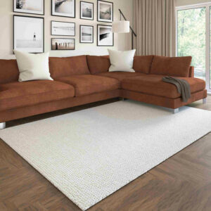 Living room Area rug flooring | Hadinger Flooring