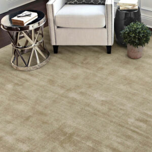 Area rug flooring | Hadinger Flooring