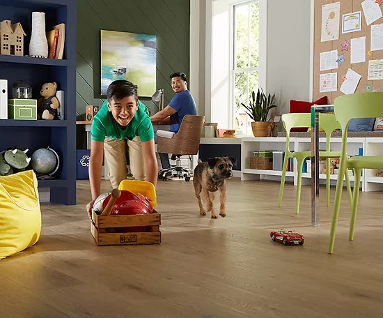 Safeguarding Floors from Pet | Hadinger Flooring